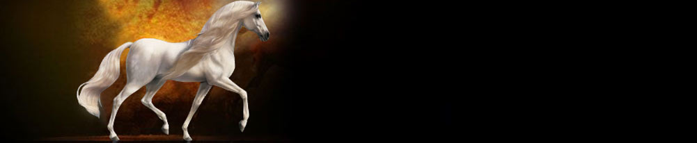topBanner