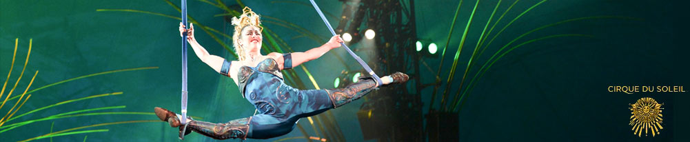 topBanner